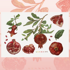 Pomegranate-watercolor painting