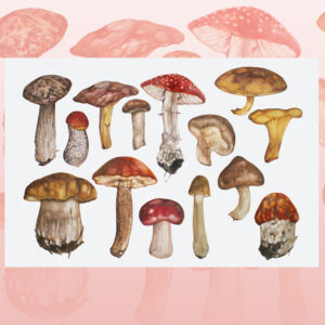 Mushrooms-watercolor painting (1)