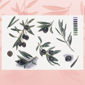 Black olives-watercolor painting