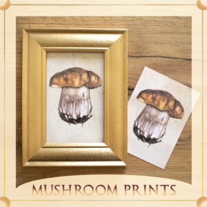 Mushroom Prints