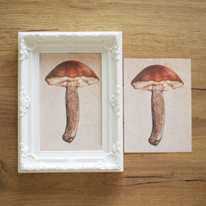 Mushroom Print (8)