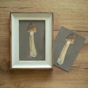 Mushroom Print (5)