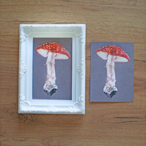 Mushroom Print (2)