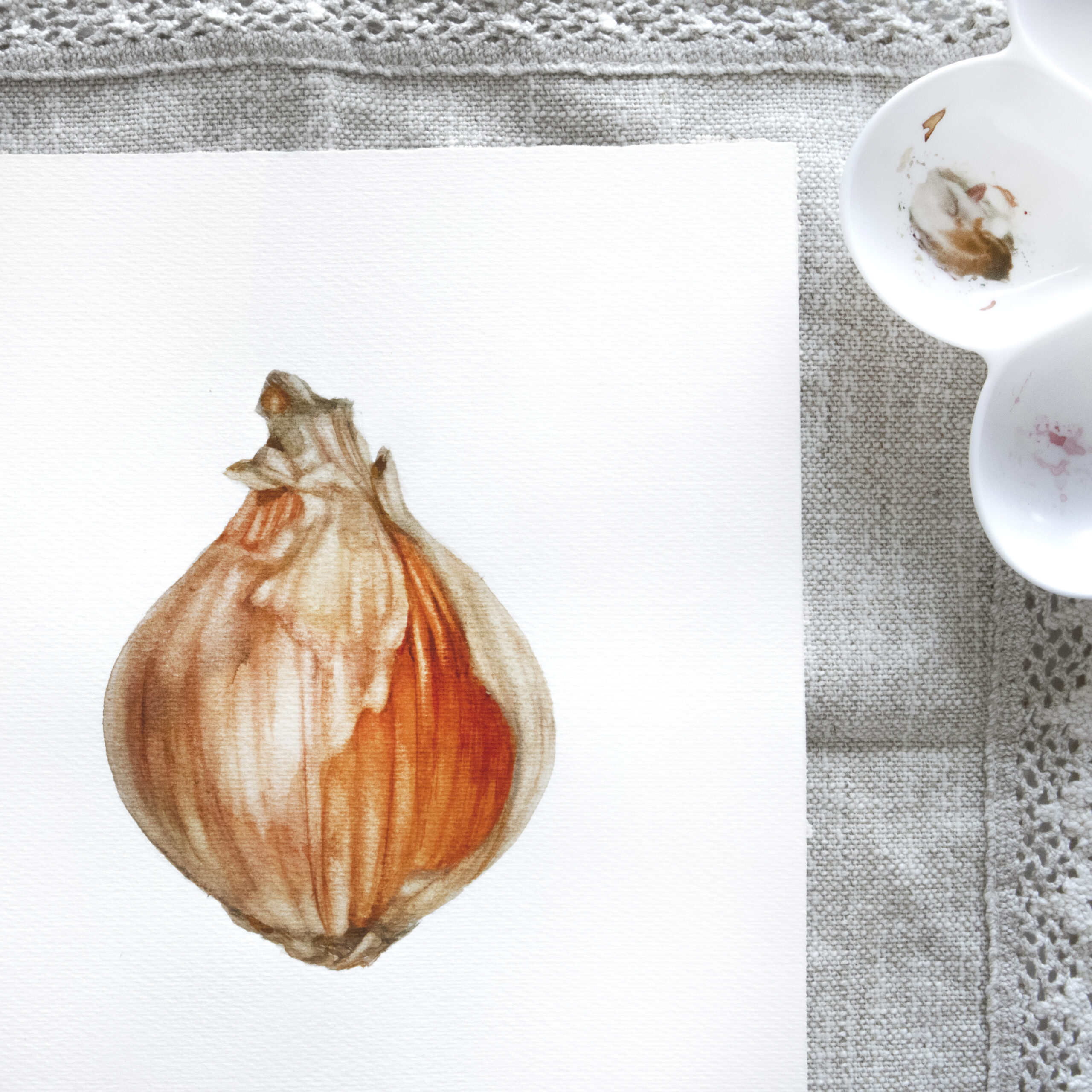 Onion-watercolor painting (2)