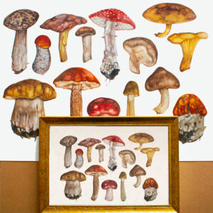 Mushrooms-Limited Edition Print