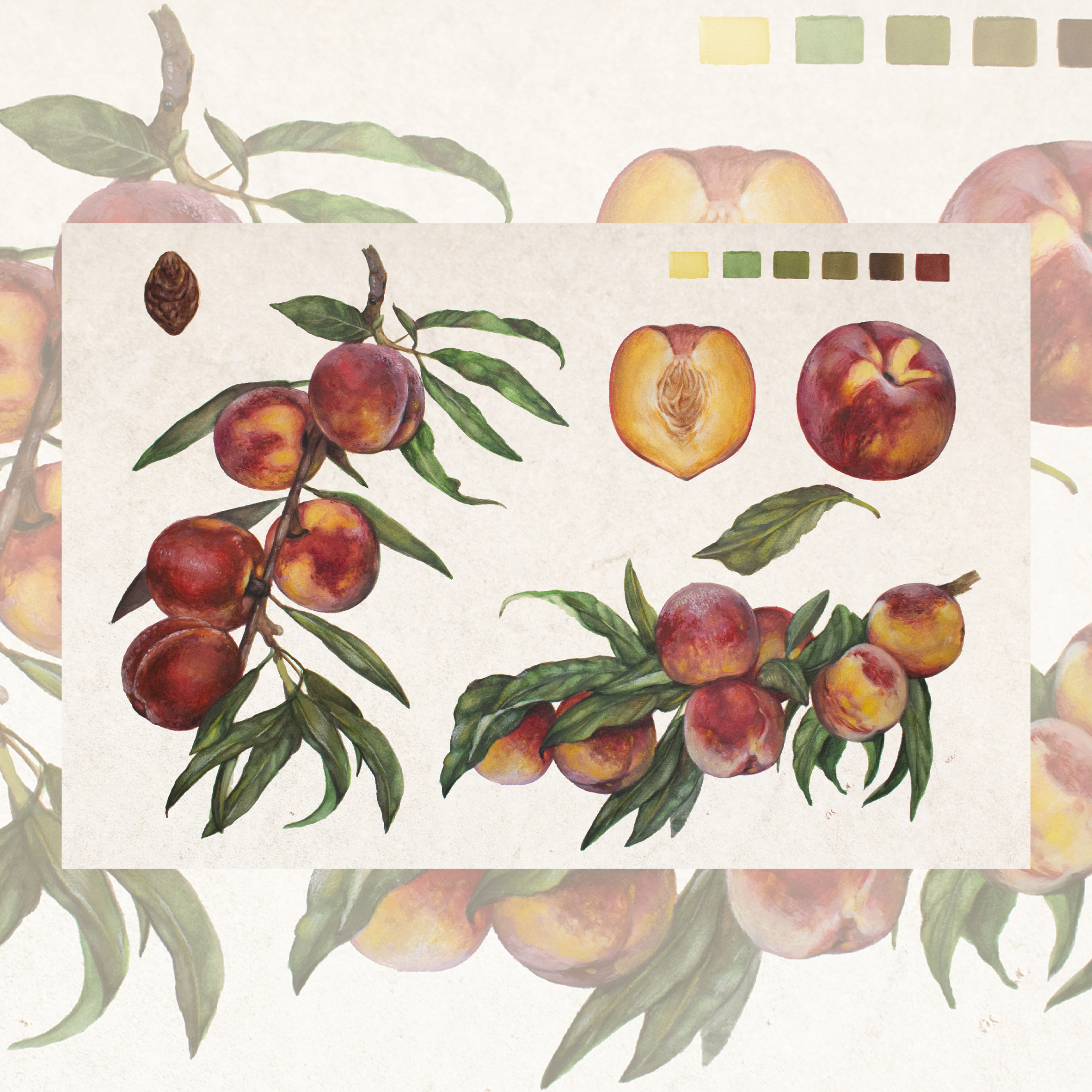 Peaches-Limited Edition Print - Image 2