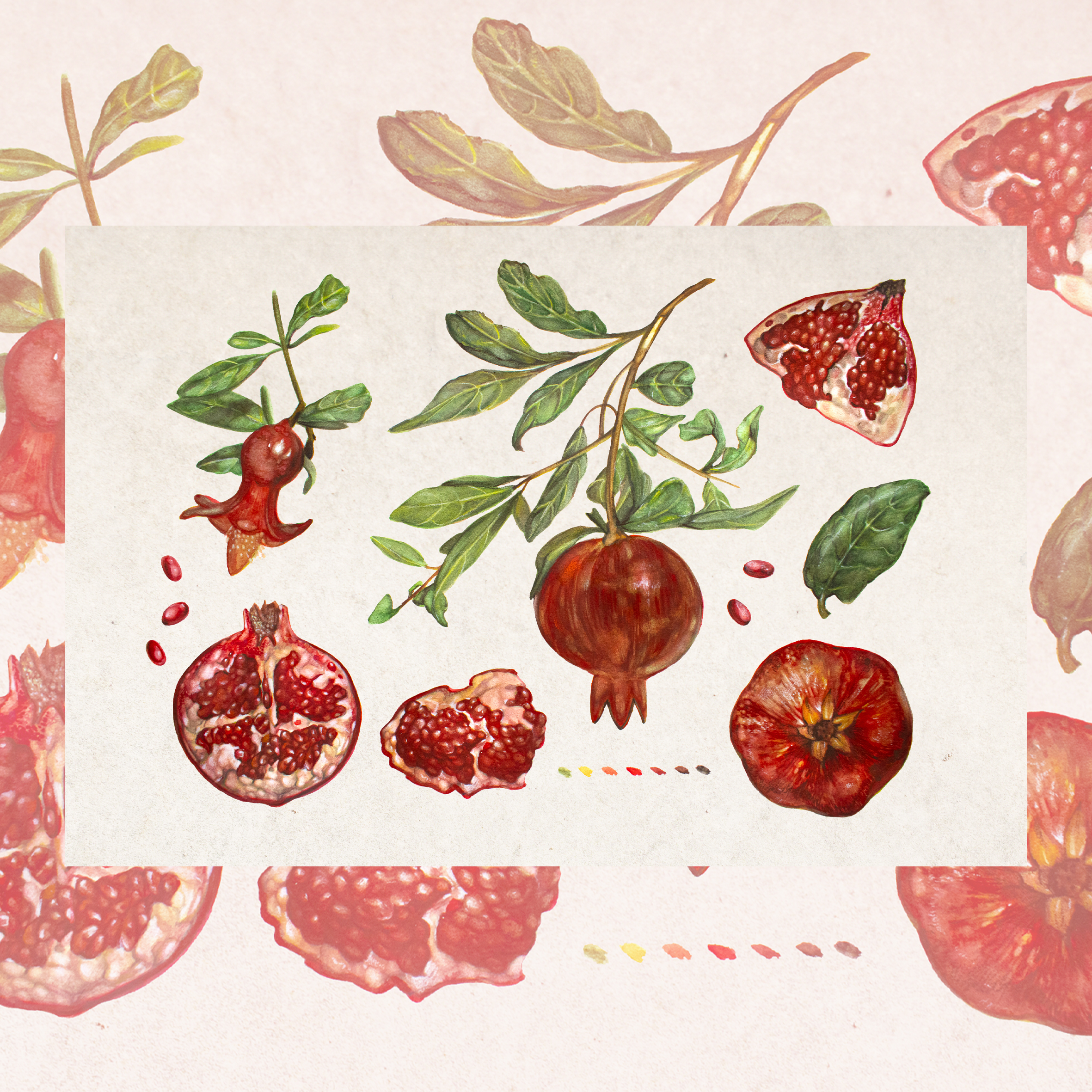 Pomegranates-Limited Edition Print - Image 2
