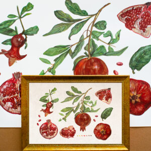 Pomegranates-Limited Edition Print
