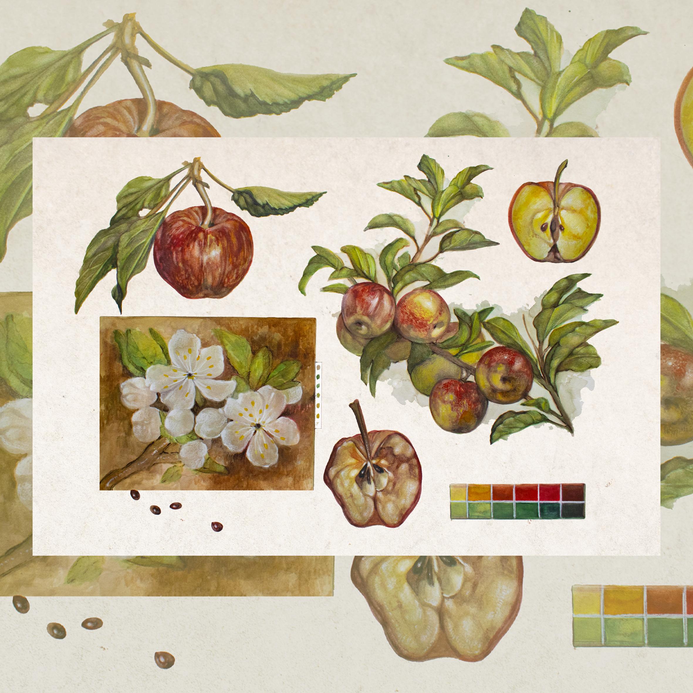Apples-Limited Edition Print - Image 2