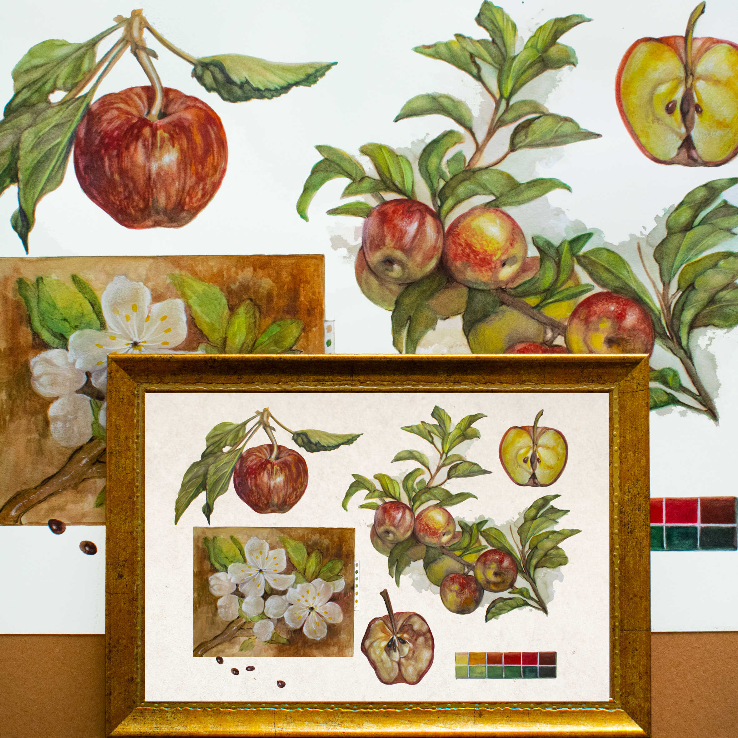 Apples-Limited Edition Print