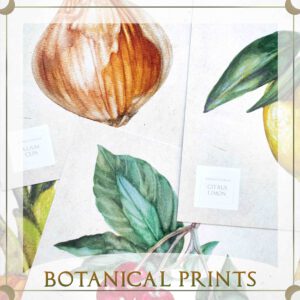 Botanical Prints
