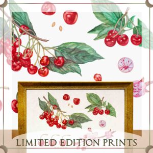 Limited Edition Prints